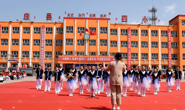 应县小学新项目，引领教育改革，塑造未来教育新篇章