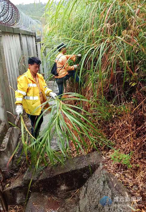 车站社区天气预报更新及其对生活的影响