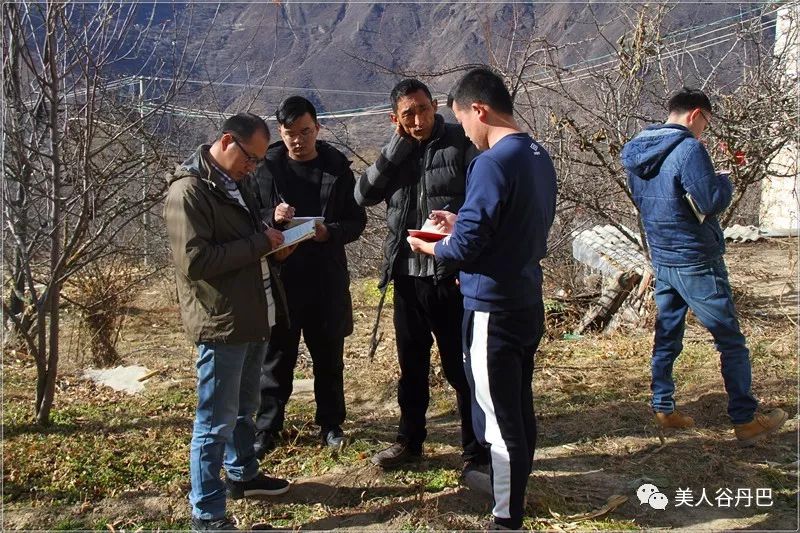 丹巴县农业农村局最新动态报道