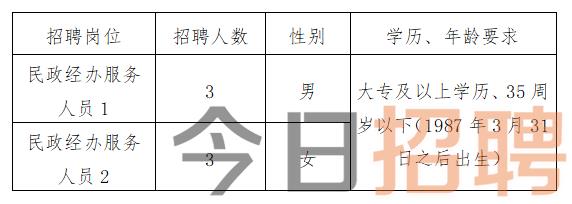 墨竹工卡县民政局招聘信息及相关内容深度探讨