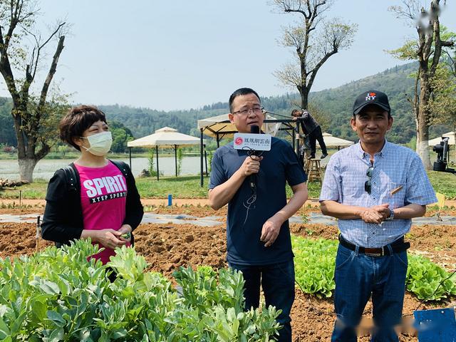 西山区农业农村局最新招聘启事概览