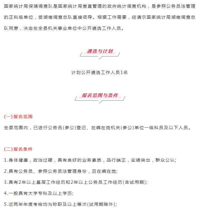 保靖县统计局最新招聘启事概览