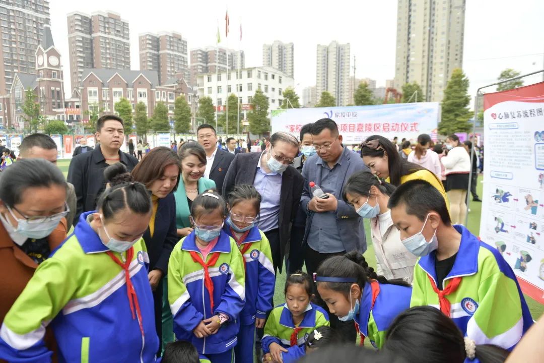 嘉陵区小学新项目，探索现代教育新篇章