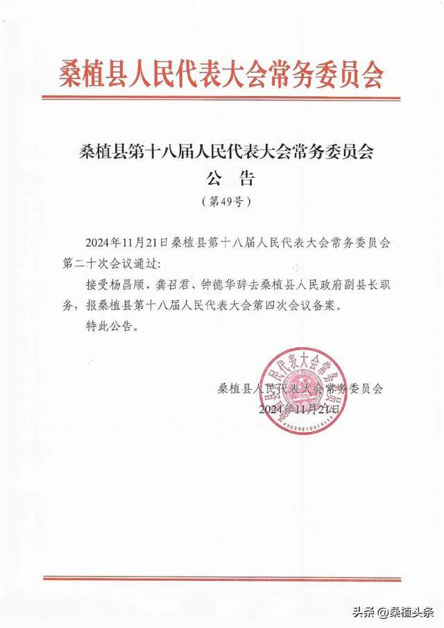 新建县剧团最新人事任命，深远影响的背后故事