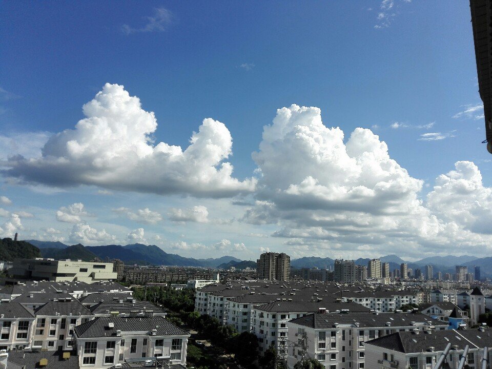 临浦镇天气预报更新通知