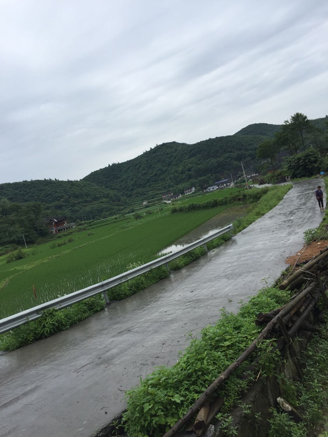 巩坝村委会天气预报更新通知