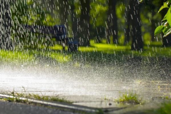 真措村今日天气预报通知