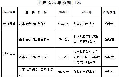 岳阳县医疗保障局最新发展规划