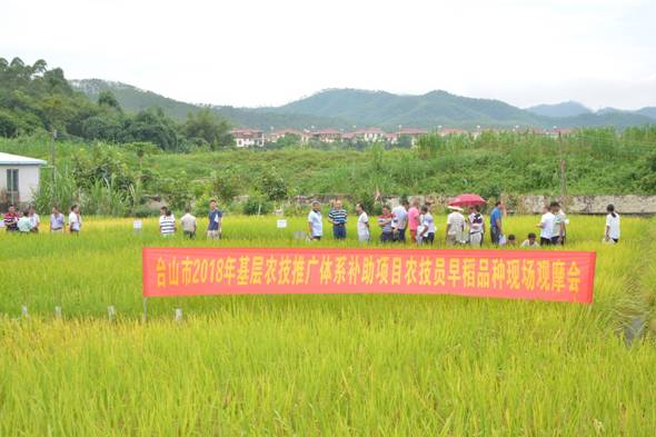 雷山县农业农村局新项目推动农业现代化，乡村振兴再添动力