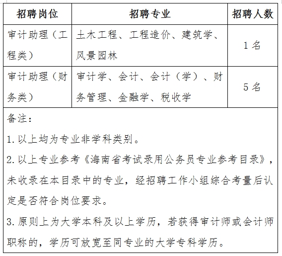 雷州市审计局最新招聘信息概述及分析