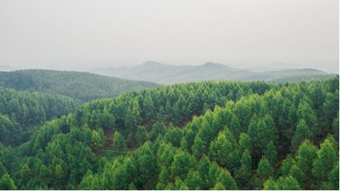 库斯特林场绿色发展新探索，实践项目引领发展之路