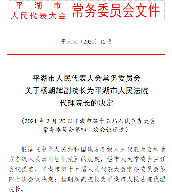 甲子墩村委会人事任命揭晓，开启乡村发展新篇章